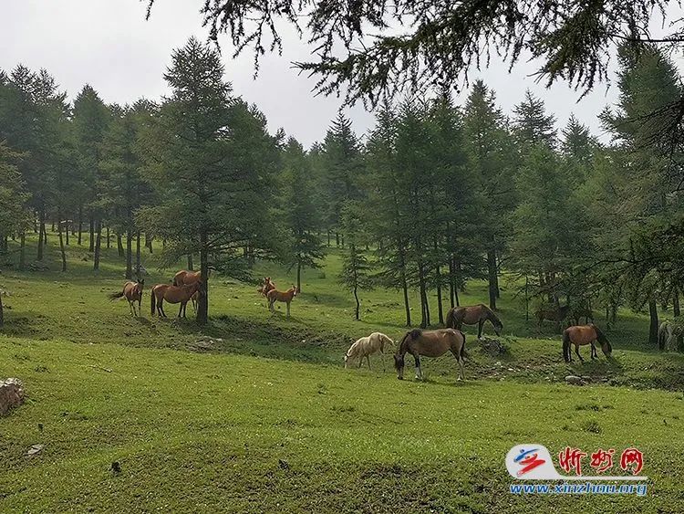 微信圖片_20220922142708 微信圖片_20220922142708