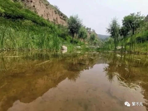 0222A08C-44B0-4444-9185-097B51796904 0222A08C-44B0-4444-9185-097B51796904