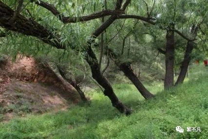 CDE5B029-A0BD-4578-9371-8978E690FBDF CDE5B029-A0BD-4578-9371-8978E690FBDF